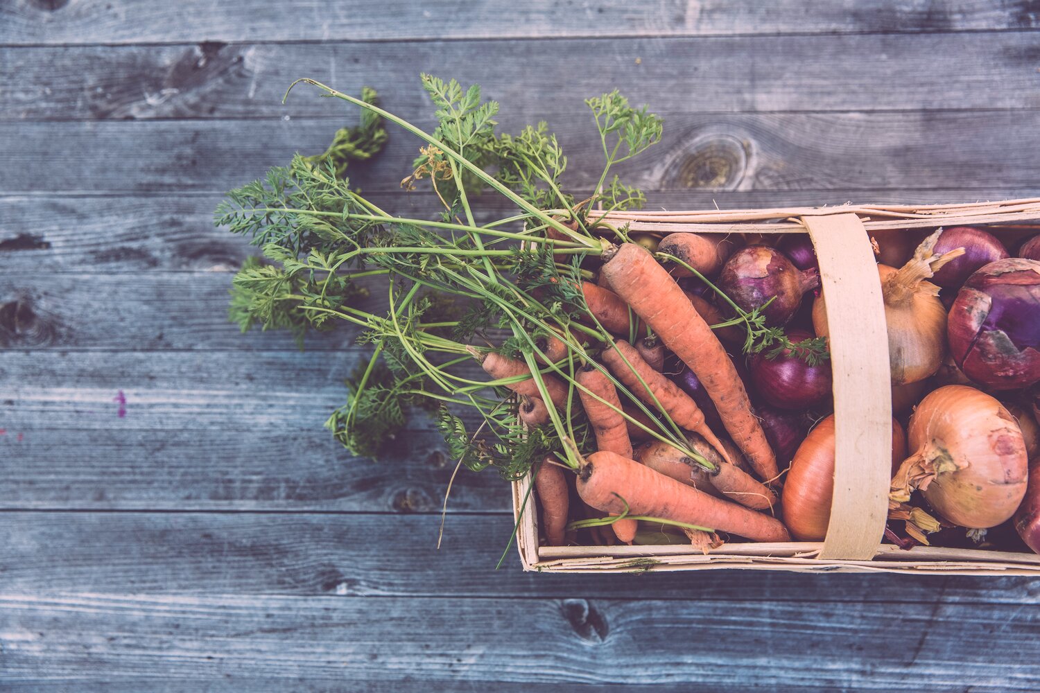 sustainable-gastronomy